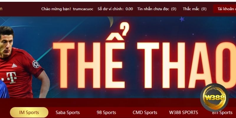 thể thao W388